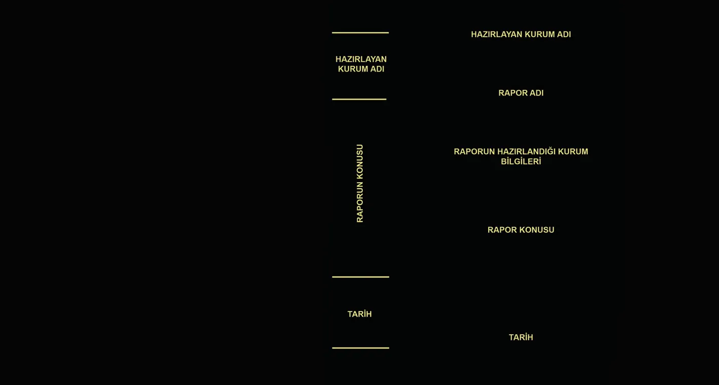 RAPOR FORMATI