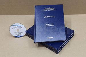 BAHÇEŞEHİR ÜNİVERSİTESİ TEZ CİLT