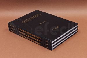 MEF ÜNİVERSİTESİ TEZ CİLTLEMESİ