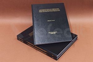 MEF ÜNİVERSİTESİ TEZ ÇALIŞMASI