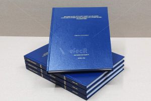 ÖZYEĞİN ÜNİVERSİTESİ TEZ CİLT