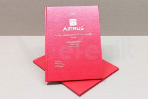 UNIVERSITE TOULOUSE CAPITOLE - AIRBUS